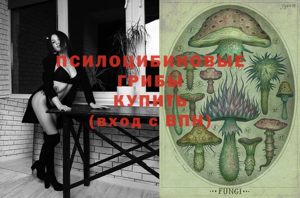 МДПВ Верея
