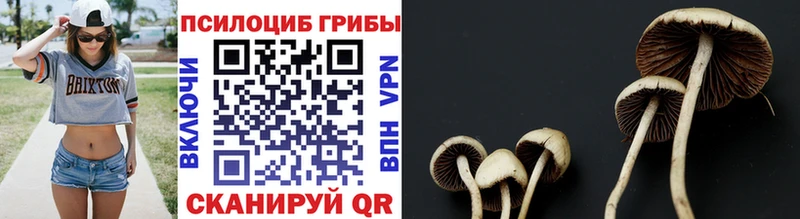 MEGA как зайти  Приморск  Галлюциногенные грибы MAGIC MUSHROOMS 
