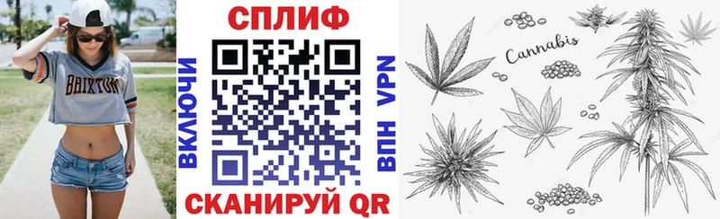 магазин продажи наркотиков  Приморск  Конопля MAZAR 